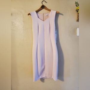 Calvin Klein Sheath Dress